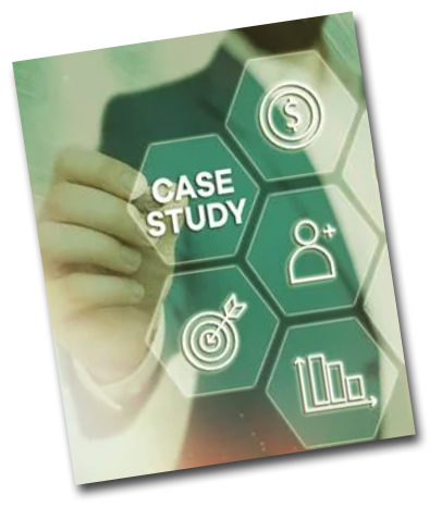 Portfolio Sample 20 - Case Studies