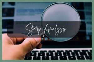 SERP Analysis
